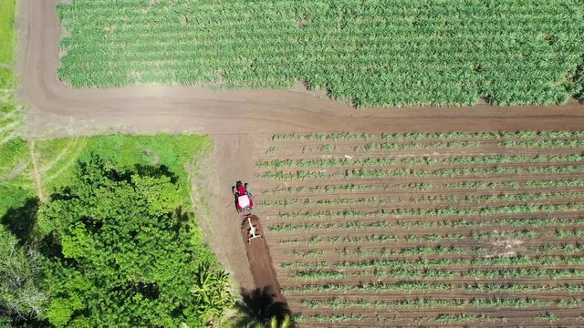 Footage of Tractor make fire break for sugarcane farm