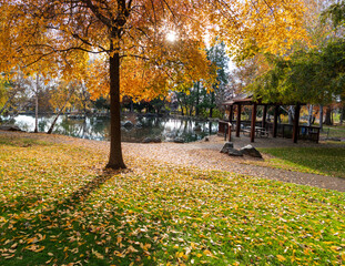 Beautiful Fall Day in Northern California
