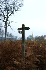 public bridleway signpost in woods