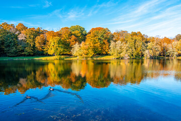 Potawatomi Woods and Lake view in Wheeling Township of Illinois