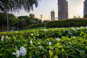Fototapeta na wymiar Shot from inside of a one of the most popular parks in Dubai. Zabeel park. UAE. Landmarks such Burj Khalifa, tallest building in the world and world trade center building can bee sen on the scene