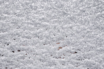 Snow pattern on frozen glass. Ice grainy background.