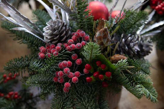 Beautiful arrangement from natural cones, red berries, spruce sprigs for festive interior decoration in winter holidays.