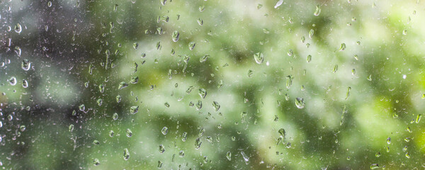 raindrops on glass, greenery blurry on background