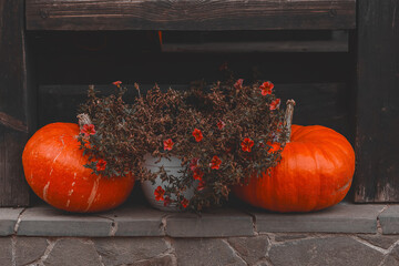 Pumpkins and flowers on the steps outside the house. Country life. Autumn
