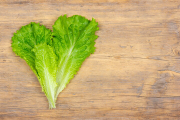 fresh green lettuce leaves on wooden background with copy space for recipes