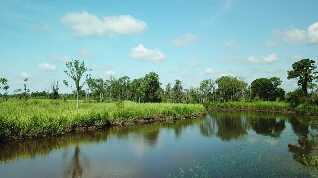 Historic Tidal Rice Fields In Georgetown, South Carolina