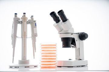 microscope, petri dishes and pipette stand by microbiological laboratory