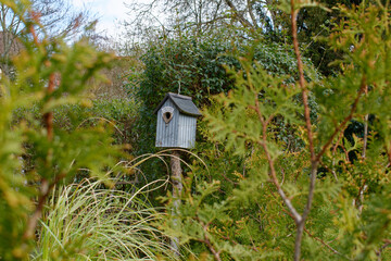 Ein Vogelhaus in grüner Natur