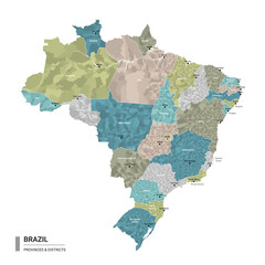Brazil higt detailed map with subdivisions. Administrative map of Brazil with districts and cities name, colored by states and administrative districts. Vector illustration.