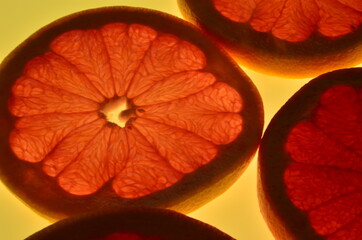Sliced citrus fruits background on a light table. Transparent citrus fruit slices. Red grapefruit, oranges, lemons, lime, mandarins