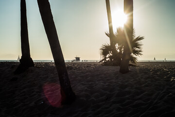 Lifeguard tower between palm trees, Venice beach, Los Angeles, California, USA