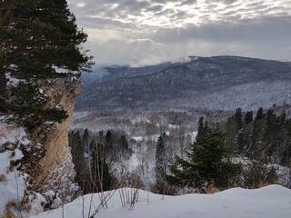 Snow covered mountains with fer tree