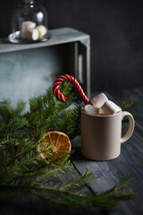 Light mug with cocoa decorated with marshmallows and caramel canes, surrounded by fir branches and a dried orange slice on a wooden background.