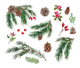 Watercolor winter greenery set. hand drawn pine tree branches, red berries, pine cones, isolated on white background. Christmas illustration. Forest plants.