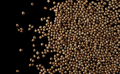 Coriander seeds pile isolated on black background, top view