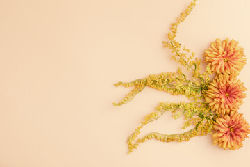 Composition of yellow chrysanthemum flowers on a beige background autumn layout or greeting card. The view from the top.