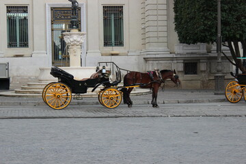 Un carruaje tirado por caballos esperando frente a una fuente en Sevilla.