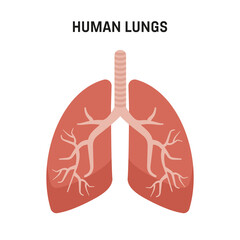 Human lungs. Medical symbols, human lungs with abstract structure. Eps 10