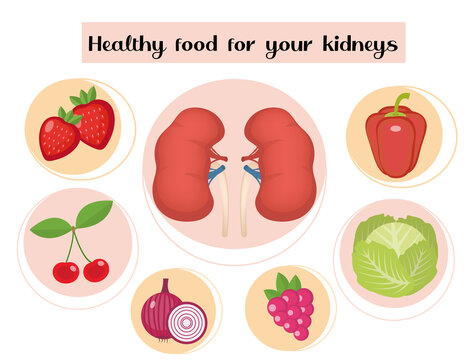 Healthy Food For Your Kidneys Infographic. Concept Of Food And Vitamins, Medicine, Kidney Disease Prevention. Vector Illustration