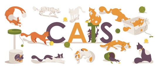 Cats large lettering with kitties playing, sleeping and moving. Vector pet characters drawn in vibrant colors with accessories