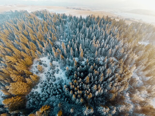 Frozen snow covered trees from above, aerial shot of forest half frozen