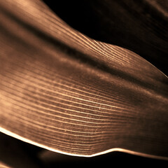 Copper streak textured background design