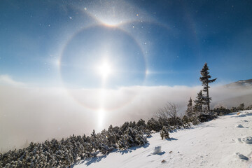 Halo effect around winter morning sun, clouds inversion and snow covered trees
