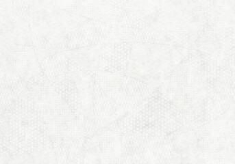 和紙_COOL_JAPAN_72_白