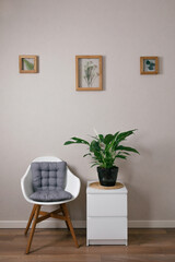 master of the frame of flowers. Framing dried plants.