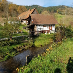 Fototapeta na wymiar Schwarzwaldmühle