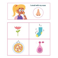 Five senses poster. Smell sense presentation page for kids