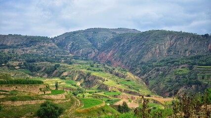 landscape of the mountains