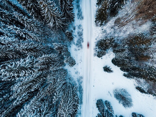 Aerial shot of beautiful snow covered landscape and trees, Christmas holiday time