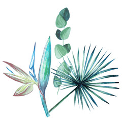 Obraz premium Watercolor drawing art illustration of palm, exotic flower art.