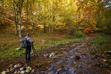 Naklejka premium Professional nature photographer