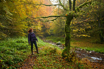 Obraz premium Woman nature photographer with camera