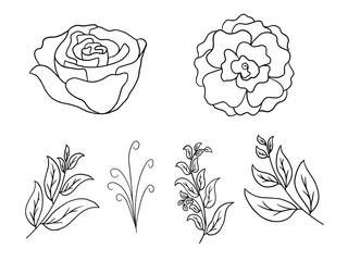 Obraz premium Flowers Line Art Arrangements. Line art flower on greeting card, frame, shopping bags, wall art, telephone boxes and t-shirts. 