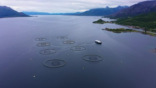Aerial view of fish farm boat at a Aquaculture of salmonids hatchery, cloudy day- pull back, drone shot