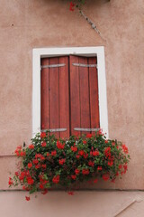 Fototapeta na wymiar an orange Italian house with a window with a closed shutter and geranium flowers
