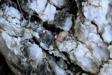 Diverse colored quartz rock in cut of the earth. Deposits of gray, white, orange quartz. Untreated semi-precious stones of  chalcedony variety in various stone deposits and layers of different rocks.