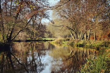 Fototapeta na wymiar A calm River Wey on a cold sunny winter's morning, Godalming, Surrey, UK