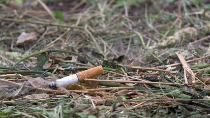 The thrown cigarette set fire to the grass. A man threw a cigarette on the dry grass. Fire hazard
