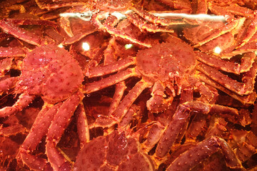 Live Japanese king crab selling in Sapporo market, Japan.