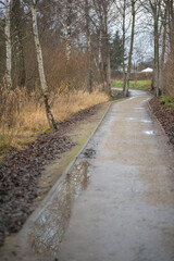 autumn winter walk by the lake
