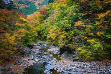 river in the mountains