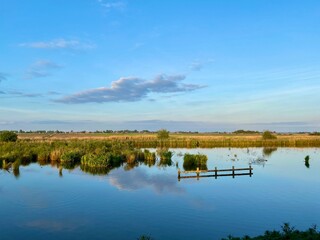 The beauty of reflection