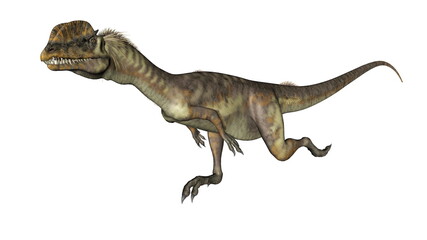 Dilophosaurus dinosaur running isolated in white background - 3D render