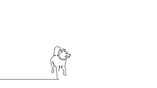 Self drawing simple animation of single continuous one line drawing dog, man, person, pet, active, male, people, animal, run . Drawing by hand, black lines on a white background.