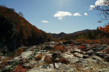 Nagatoro Cobblestone, ishidatami, and red autumn leaves are at Chichibu, saitama, Japan. Arakawa river.